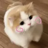 hellokity_781