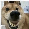 pphyonaing