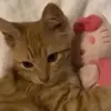 luh.rsrsrs22