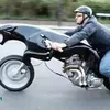 topmot07