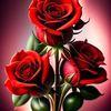 oum.younas8