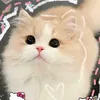 thng.chu088
