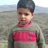 anarshah222
