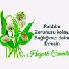 user41982297852708