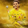 yann_sommer_fan123