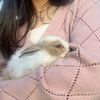 belaraba.sirine