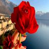 md.eyasen17