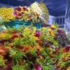 nam.trnh.quang4