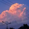 www.tiktok.com.nhen20975