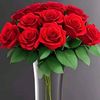 user1109570907108
