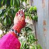 mdshohag82669