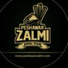 cricket.update102