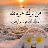 zeinab0464