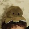 stanleybookwarm