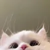 aaaaaaaaaaaaaaaaaa_7777
