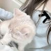 mayas_11m