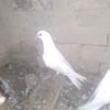 user953098437835
