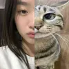 _nawatnot