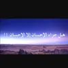 walid.ibrahim493