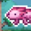 axuwloko