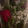 ghada.575