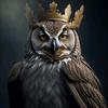 owlking.16