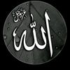 muhammad.12337