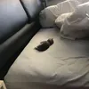 user_321328