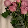 aleen_2017