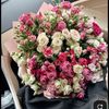 aysha1._1