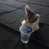 idkkk_123321