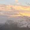 savaaa_01