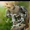 user3746600678378