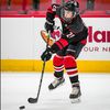 harrisonkorzekwin
