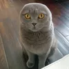 mrrgill13