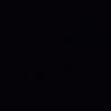 popo.1667