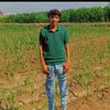 user77145525293013