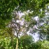 diaz_7a7