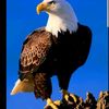 user6009055603247