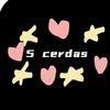 🥇5 cerdas🥇