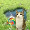 john.gatito