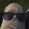 anonymous.user702