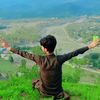 ali.shair8996