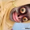 syifaabaikhati