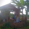 WONG NDESO LERENG LAWU