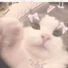 lia_luvs0