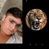 user3202729155320