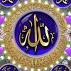 anas.raaj.92