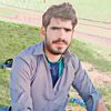 badshah87534