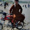 mujahidl06